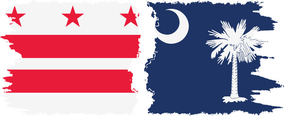 South Carolina and District of Columbia USA - Washington, D.C. grunge brush flags connection vector