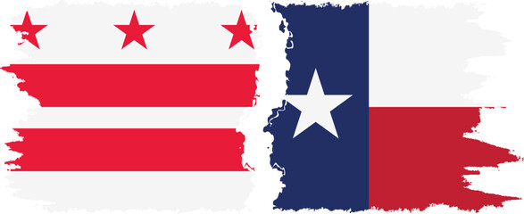 Texas and District of Columbia USA - Washington, D.C. grunge brush flags connection vector