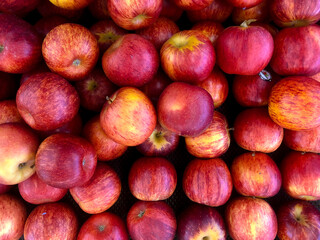Fresh red apple fruit images. Lot of tasty apples fruits background