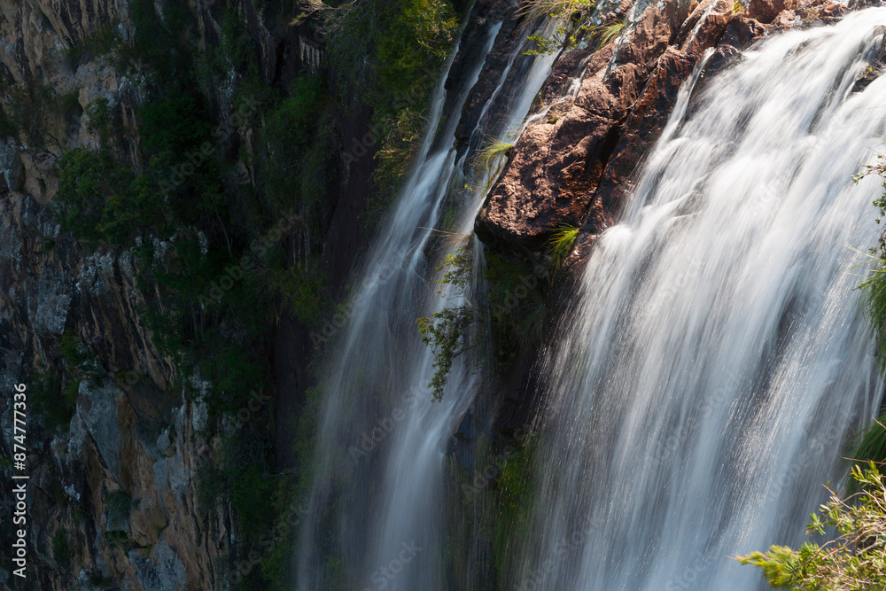 Wall mural minyon falls in nightcaps national park