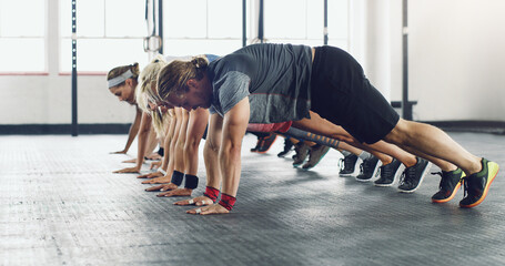 People, workout and plank in gym for health, muscle development and exercise together for support. Group class, training and pushup challenge for performance, strong body and wellness collaboration