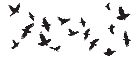 Naklejka premium Set of silhouette flying bird white background