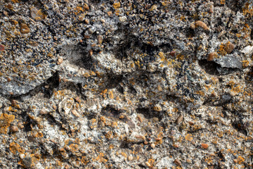 Moss on destroyed concrete, close-up. The structure of moss on stones. Color fantasy on the uneven surface of the remains of a concrete wall.