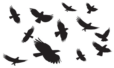 Flying birds silhouettes on white background