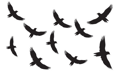 Flying birds silhouettes on white background