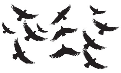 Flying birds silhouettes on white background. Vector illustration. isolated bird flying. tattoo design