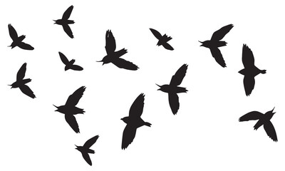 Flying birds silhouettes on white background. Vector illustration. isolated bird flying. tattoo design