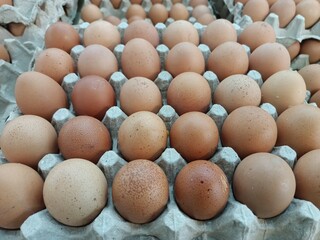 eggs in carton sale in the market