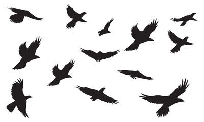 Silhouette Vector Of Condor Flying birds