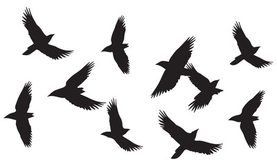 Silhouette Vector Of Condor Flying birds