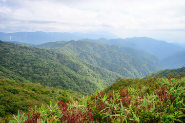 登山道から見た景色