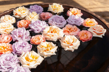 Variety of coloured roses floating in water