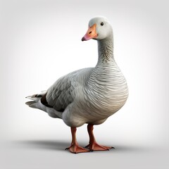 Obraz premium goose