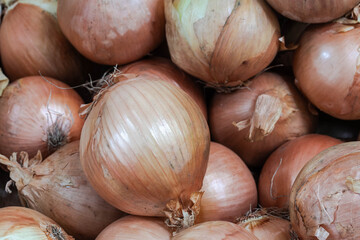 close-up onions for sale at a market or supermarket stall.