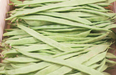 Coconut beans in very close-up on a market stall