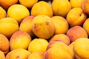 Apricots in very close-up on a market stall