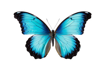 Beautiful cyan butterfly PNG with transparent background for design projects 