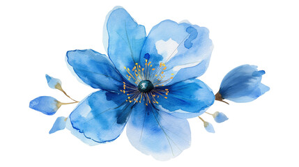 Fototapeta premium A Watercolor Blue Flower isolated on a transparent background