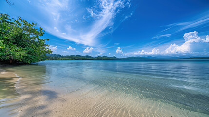 Obraz premium A serene paradise beach at midday, showcasing the bright blue sky