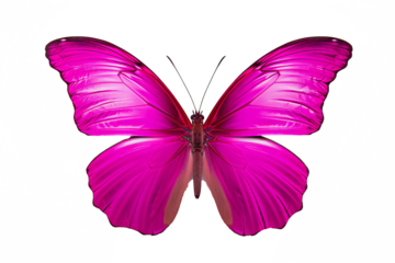 Beautiful magenta butterfly illustration in PNG style with transparent background, ideal for creative design projects, digital artworks, and crafting