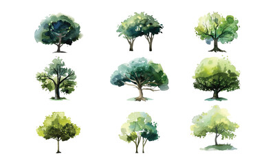 Fototapeta premium collection of watercolor trees vector illustration , hand drawing tree painting , set of graphics trees elements drawing for architecture isolated design