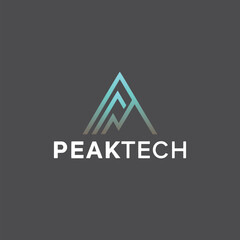 PEAKTECH LOGO | Technology Industry | Deep ocean blue and silver to signify advancement and reliability.