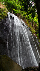 La Coca Falls in the El Yunque rainforest of Puerto Rico