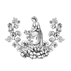 A cotton picker by hand. Black and white, detailed, graphic, vector illustration in the form of an emblem or logo. A beautiful woman picking cotton with her own hands. Isolate, hand-drawn.