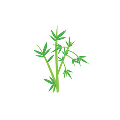 bamboo leaf vector icon