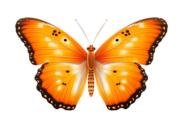 Fototapeta premium Beautiful orange butterfly in PNG style with transparent background for digital art and design projects