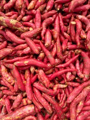Natural pattern of organic sweet potatoes. Red potatoes vegetable background. Healthy plant food