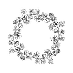 The cotton is organic. The frame is round, with cotton twigs. Black and white, detailed, graphic, vector illustration, hand-drawn, on a white background. For labels, packaging, postcards and posters.