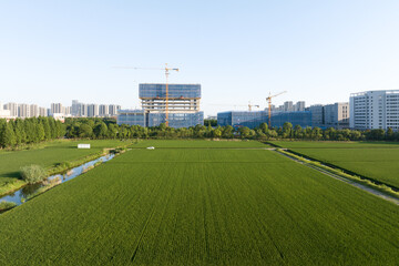 view of paddy field 