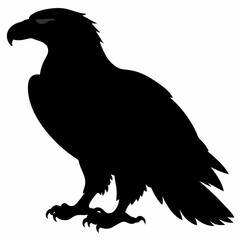 Fototapeta premium Eagle vector illustration, Bird isolated on white, eagle silhouette, Bald Eagle vector art