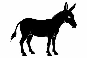 Donkey isolated on white background