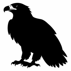 Eagle vector illustration, Bird isolated on white, eagle silhouette, Bald Eagle vector art