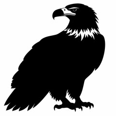 Eagle vector illustration, Bird isolated on white, eagle silhouette, Bald Eagle vector art