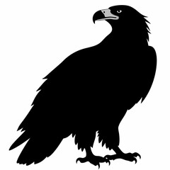 Eagle vector illustration, Bird isolated on white, eagle silhouette, Bald Eagle vector art