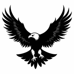 Eagle vector illustration, Bird isolated on white, eagle silhouette, Bald Eagle vector art