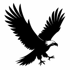 Eagle vector illustration, Bird isolated on white, eagle silhouette, Bald Eagle vector art