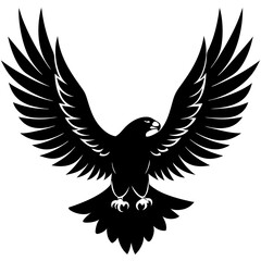 Eagle vector illustration, Bird isolated on white, eagle silhouette, Bald Eagle vector art