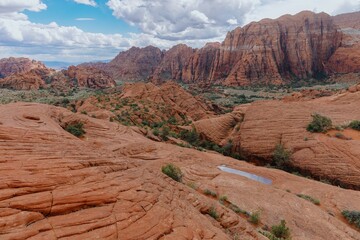 Shrubs and small trees on a rocky landscape in Snow Canyon, Ivins, Utah, United States of America.