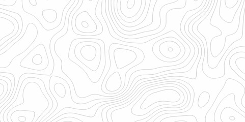 The stylize topography landscape grid map and counter wave line geometric wire outline area design. nature strip diagram topographic creative concept discovery line map texture background.
