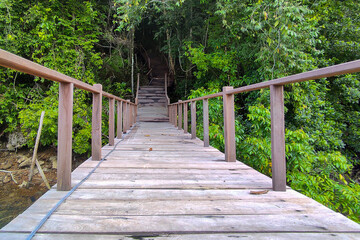 A wooden bridge leads into the forest on a sunny day.