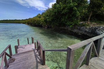 Looking at the edge of an Island from a wooden pier with the clear sea water in its surrounding. The island's edge is formed by coral rocks and is covered with various plants, forming a forest.