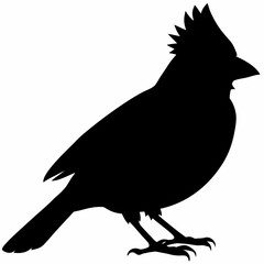 Cardinal vector illustration, bird isolated on white,Cardinal silhouette, Bald bird vector art