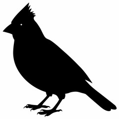 Cardinal vector illustration, bird isolated on white,Cardinal silhouette, Bald bird vector art