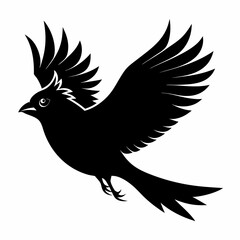 Cardinal vector illustration, bird isolated on white,Cardinal silhouette, Bald bird vector art