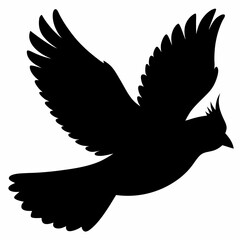 Cardinal vector illustration, bird isolated on white,Cardinal silhouette, Bald bird vector art