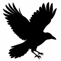 Crow vector illustration, bird isolated on white,Crow silhouette, eagle vector art